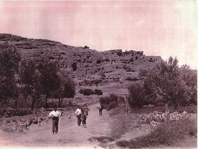 avcidacos01