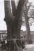 juan_carlos07_ (arbol)