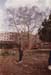 juan_carlosI06a_septiembre1984
