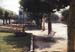 reyes_cat06