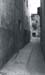 san_roque01
