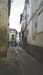 san_roque03