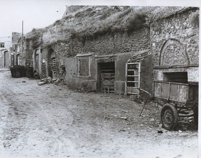 sanmiguel01