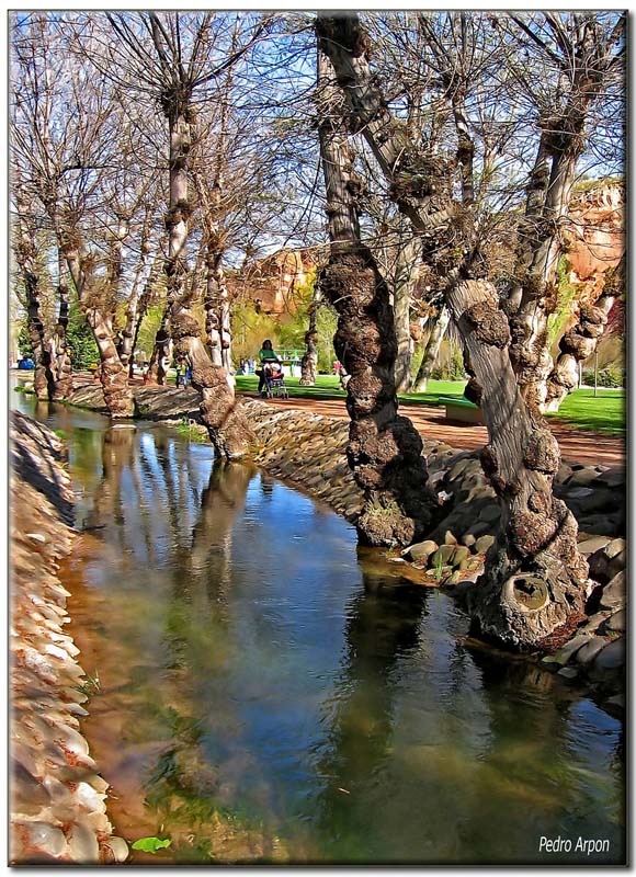 arnedo 120