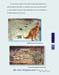 a5geologia