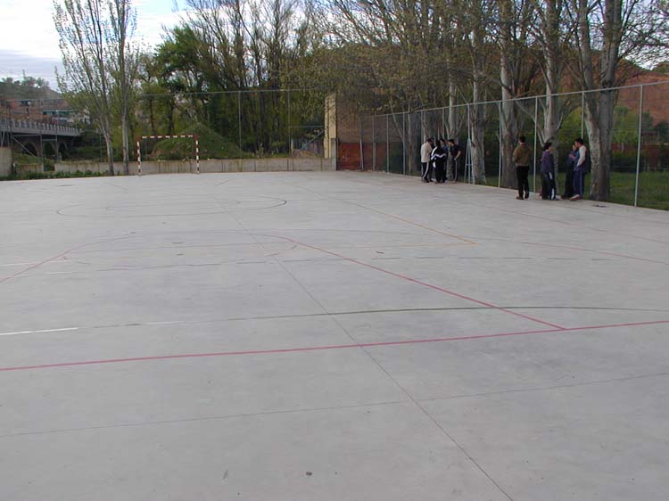 d1_iesvico