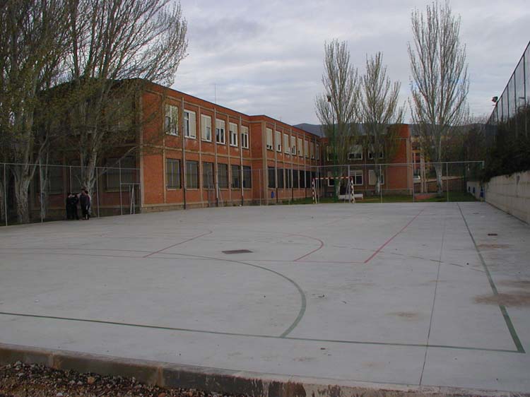 d2_iesvico