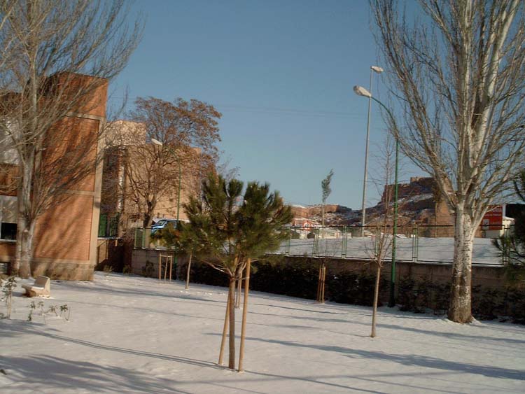 f3_iesvico