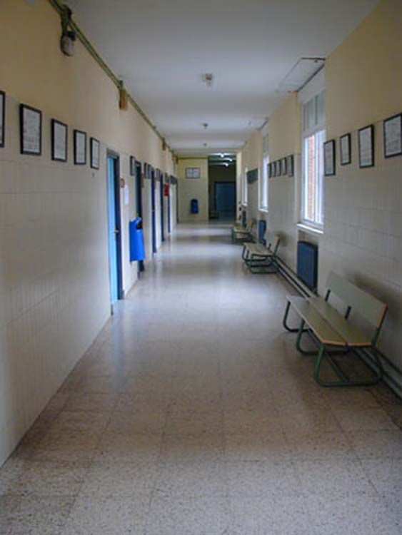 i4_iesvico