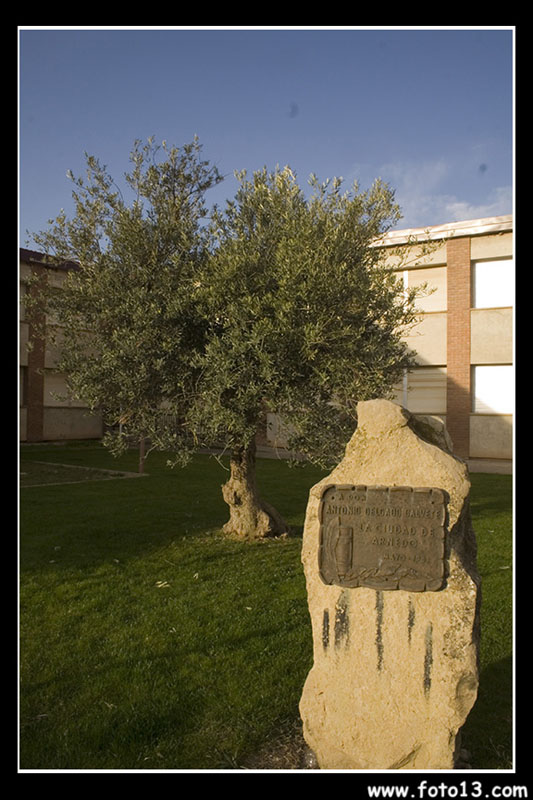 calvete003 copia
