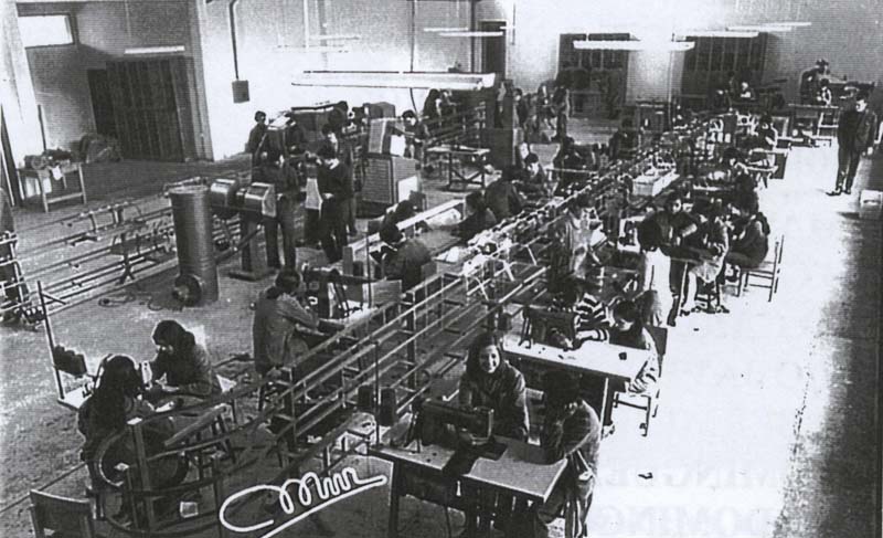 1972-piel