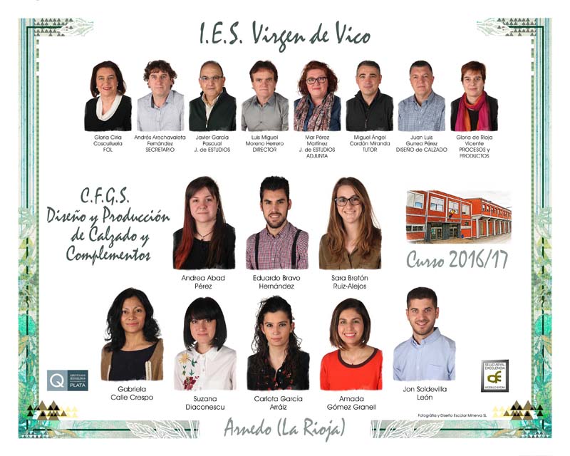 2016-17piel