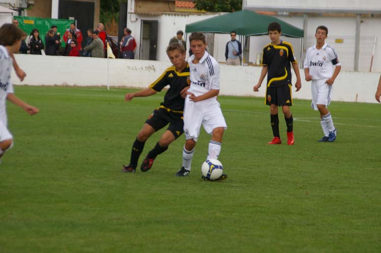 IMGP2008