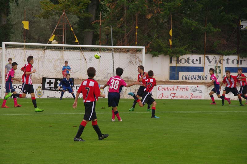 2015_d (1)