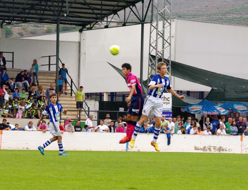2015_l (7)