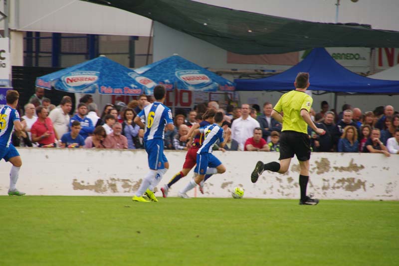 2015_p (4)