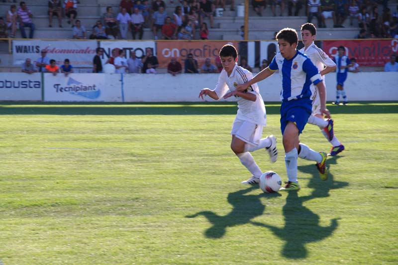 2011_c (6)