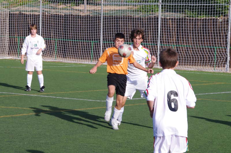 2011_d (2)