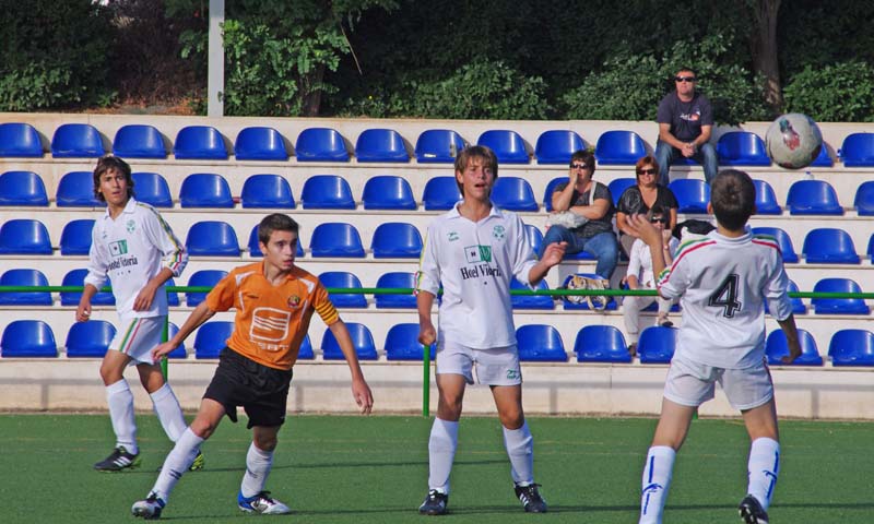 2011_d (3)