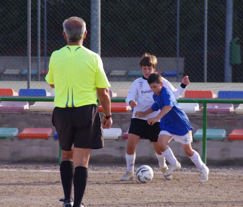 2011_d (5)