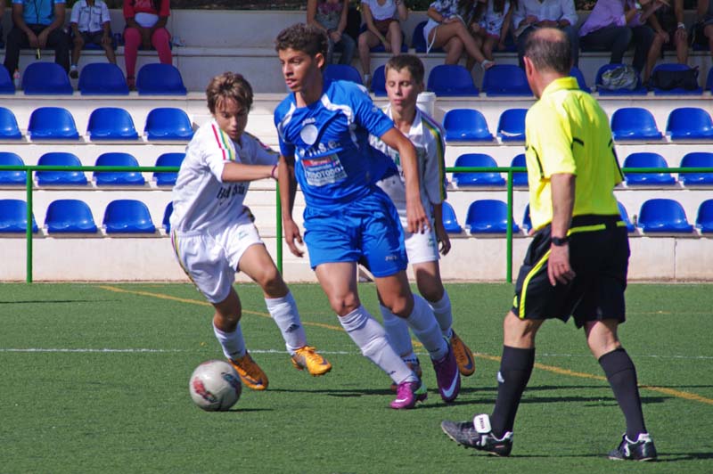 2011_f