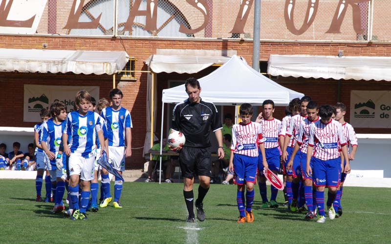 2011_g (8)