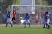 2011_c (3)