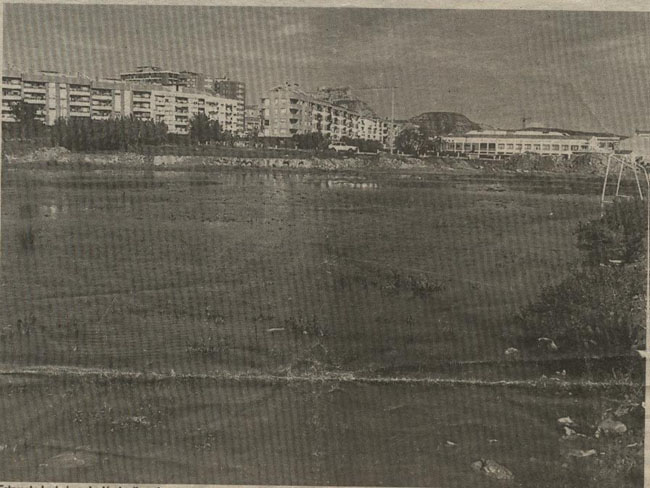 cdarnedoC7_inundado18febrero1994