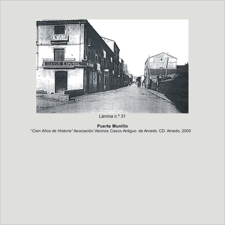 d4lamina31