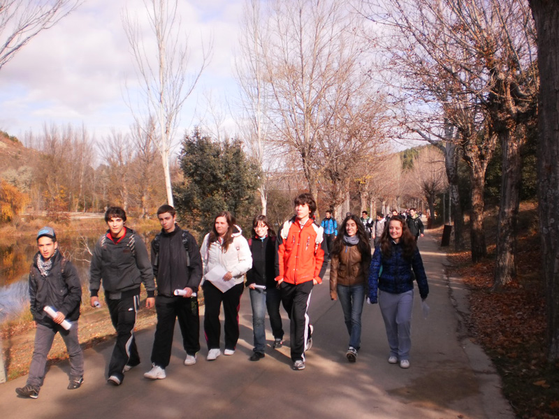 a6_soria