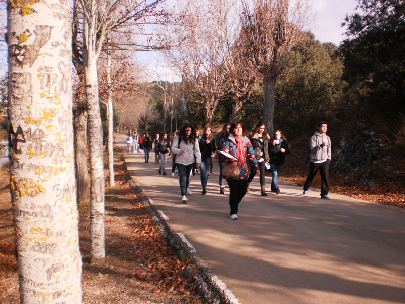 b_soria (2)