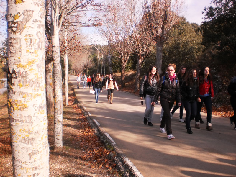 b_soria (3)