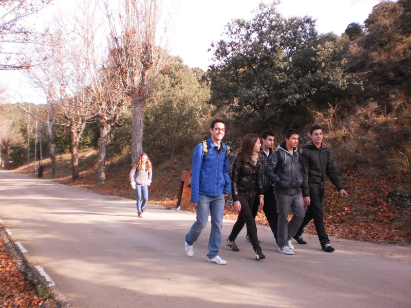 f_soria (5)