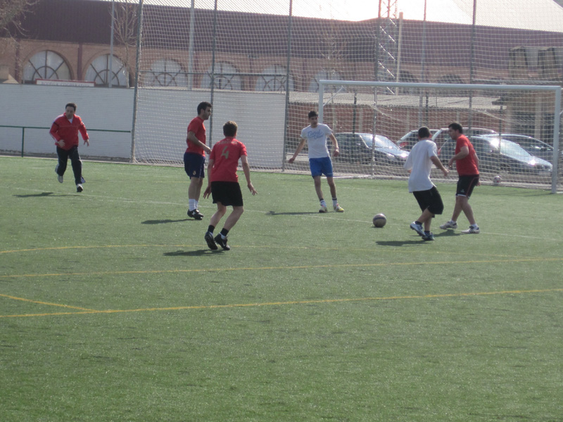 b_fct (7)