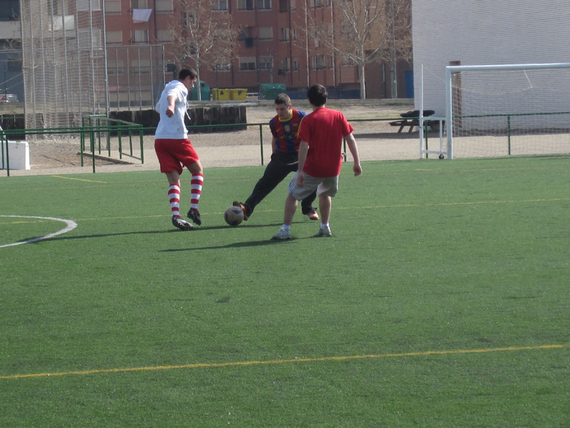 b_fct (8)