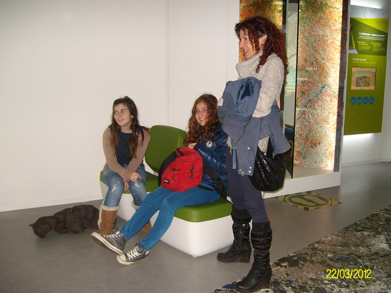 d_toul (4)