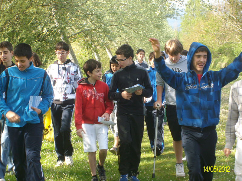 a_oja (2)