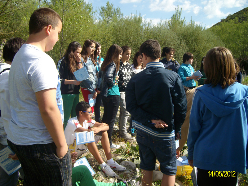 a_oja (3)