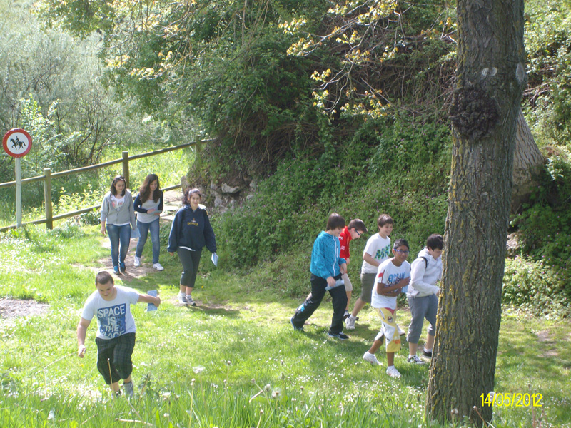 c_oja (3)