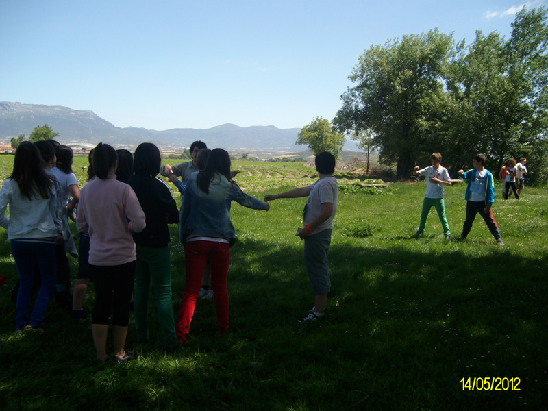 d_oja (1)