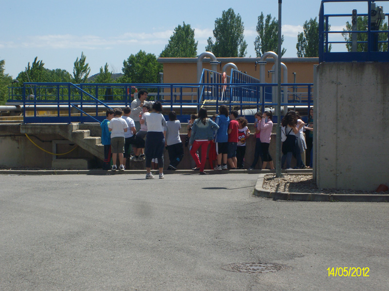 d_oja (2)