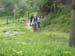 c_oja (1)