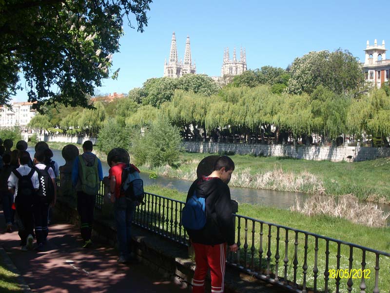 a_burgos (6)