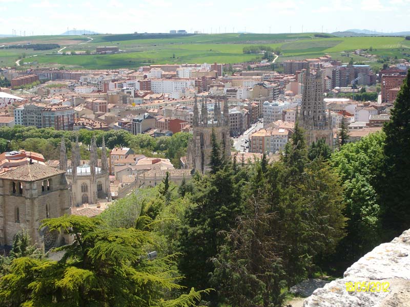 c_burgos (6)
