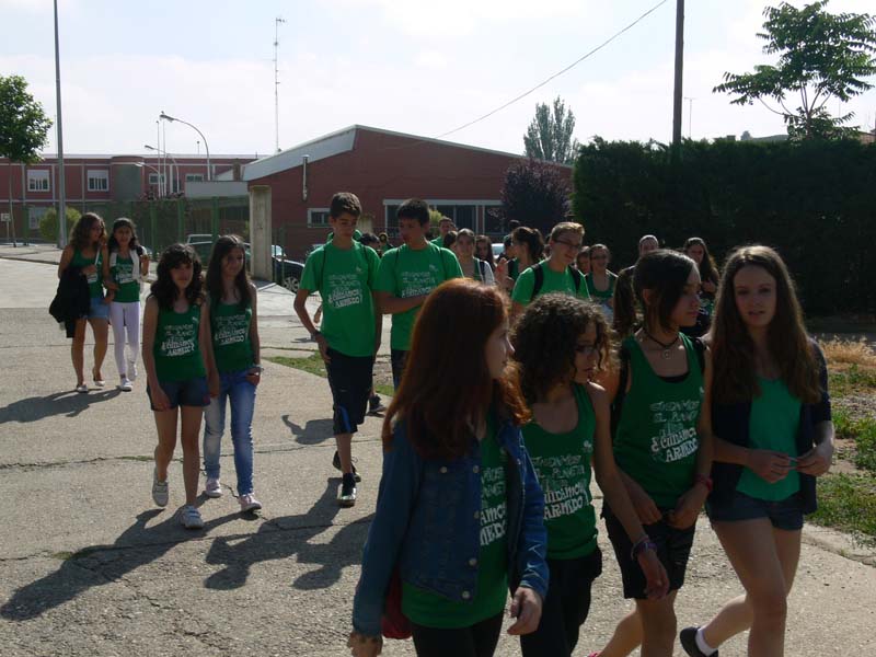 a_vico (2)