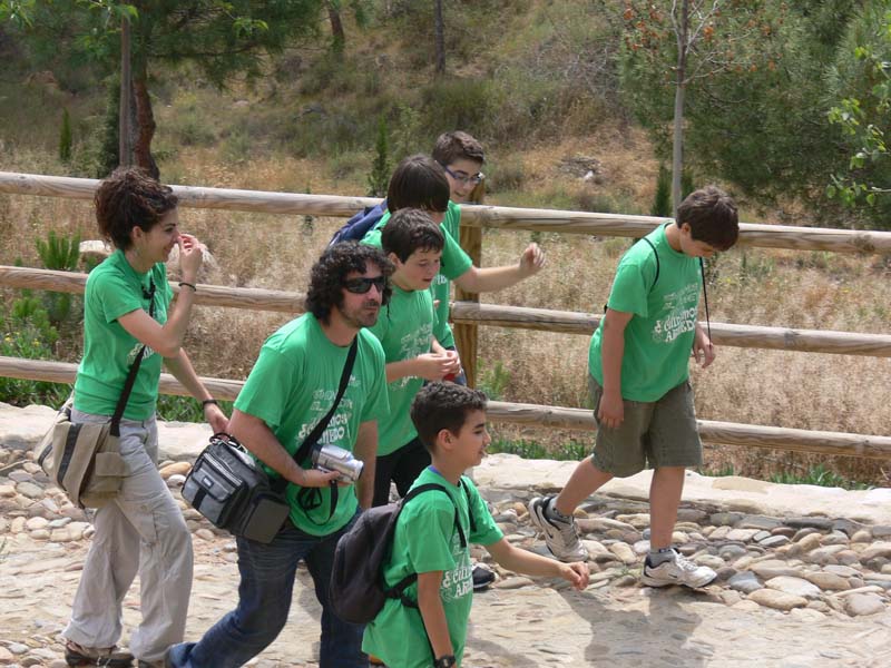 c_vico (3)