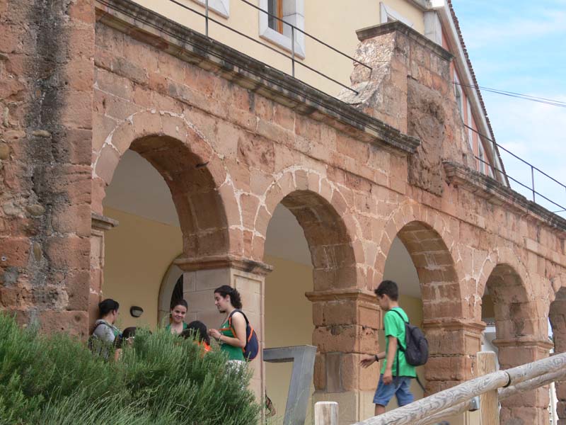c_vico (4)