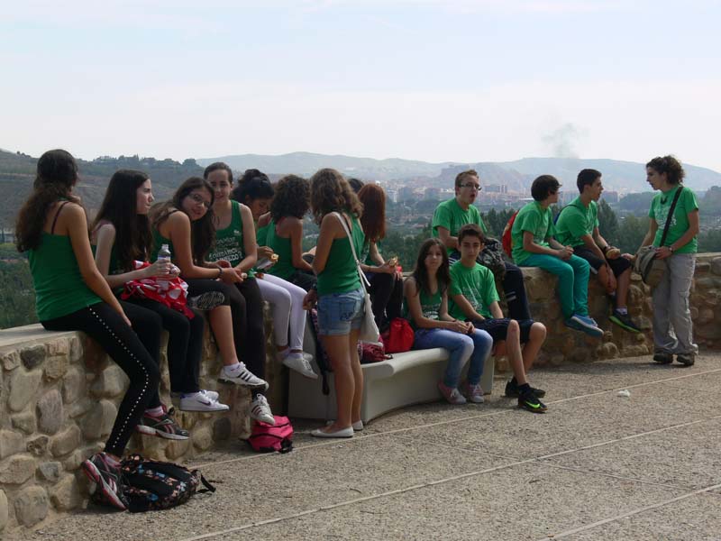 c_vico (6)