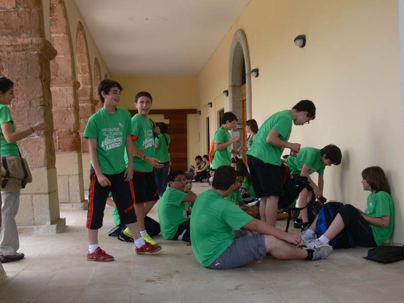 d_vico (2)