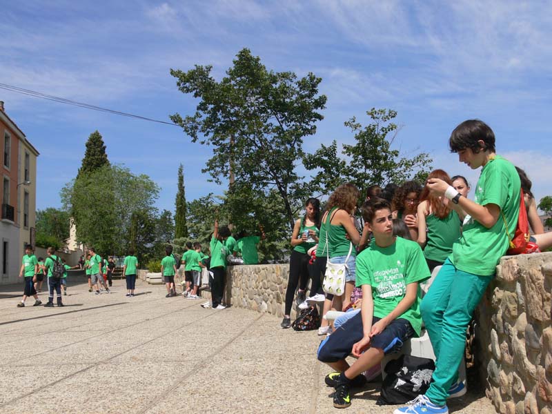 d_vico (4)